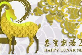 Happy Lunar New Year 2015!